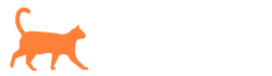 Logo-BongoDigital-blanco